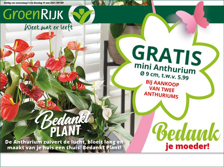 Shopper activatie Anthurium bij GroenRijk 