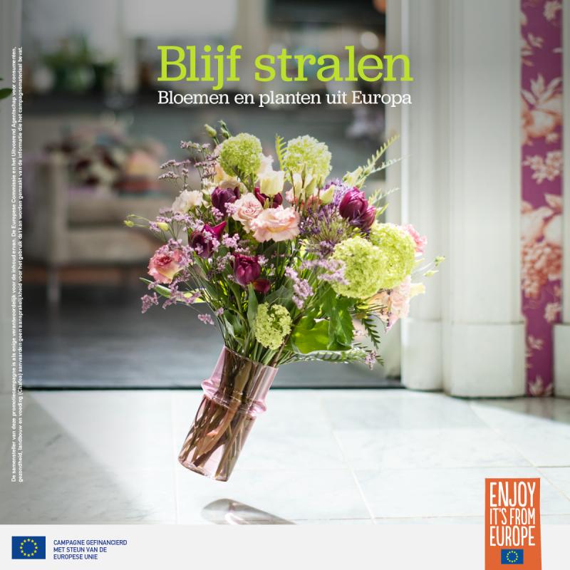 Joint promotional campaign for European flowers and plants-2