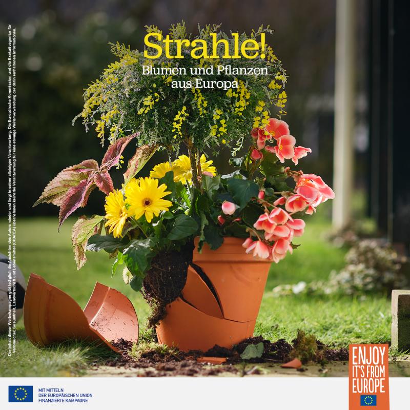 Joint promotional campaign for European flowers and plants