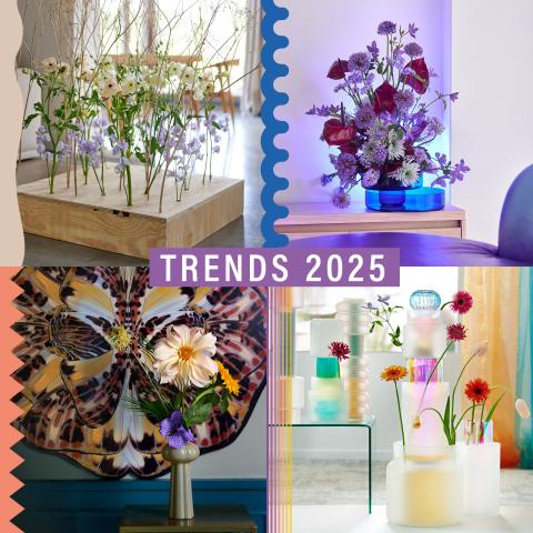 Horticulture Trends 2025