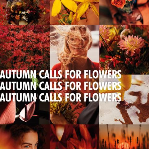 Autumn calls for flowers